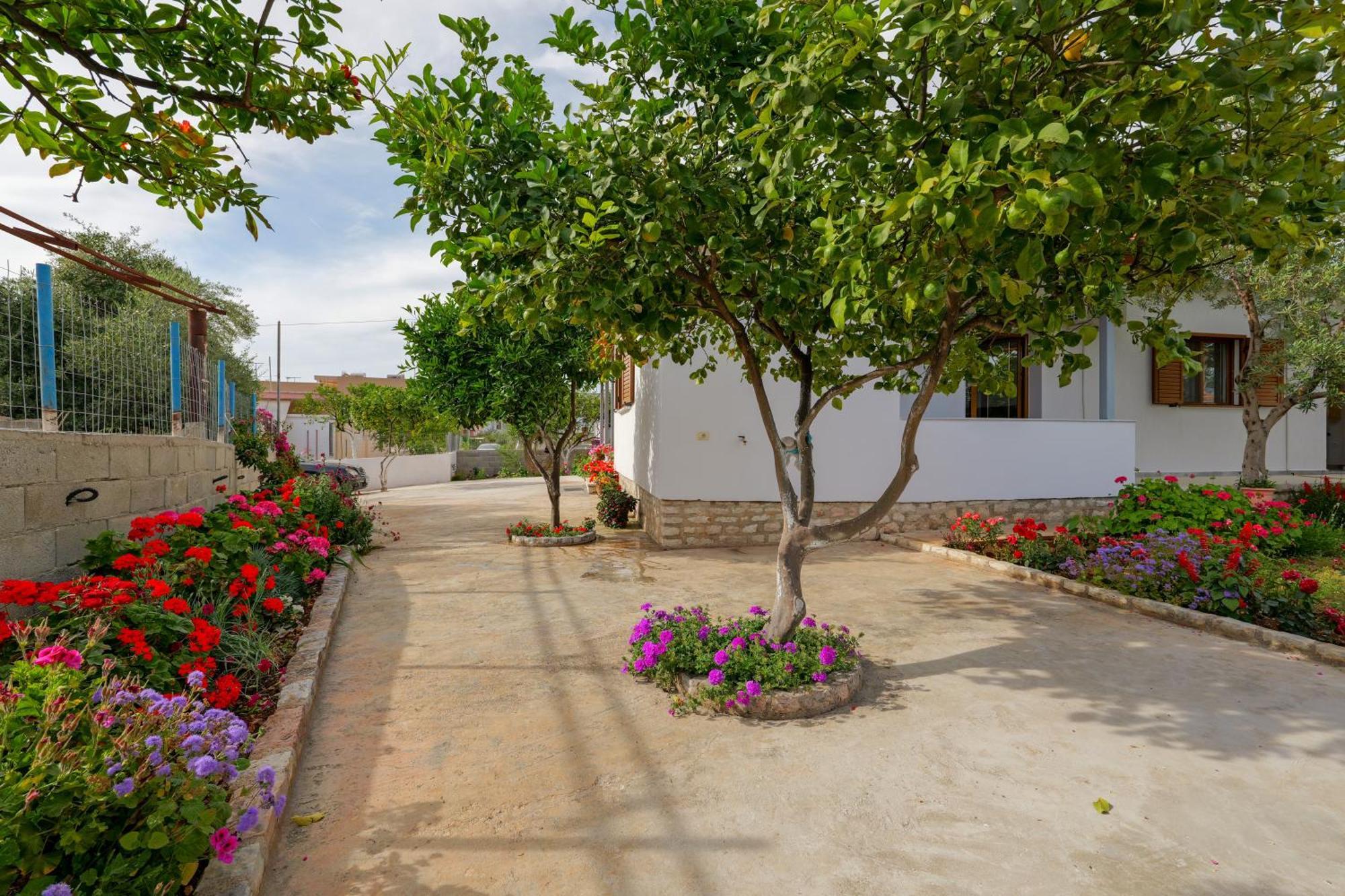 Brahimi Guest House كساميل المظهر الخارجي الصورة