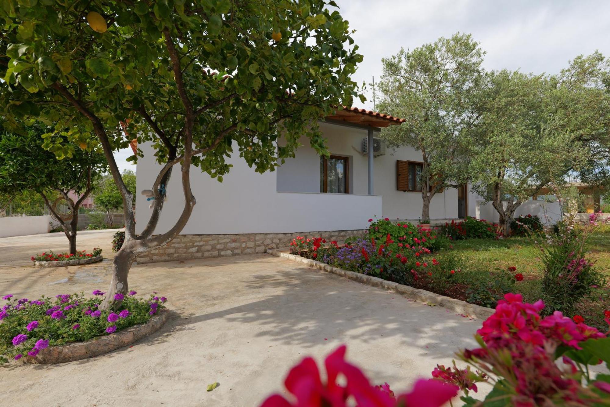 Brahimi Guest House كساميل المظهر الخارجي الصورة