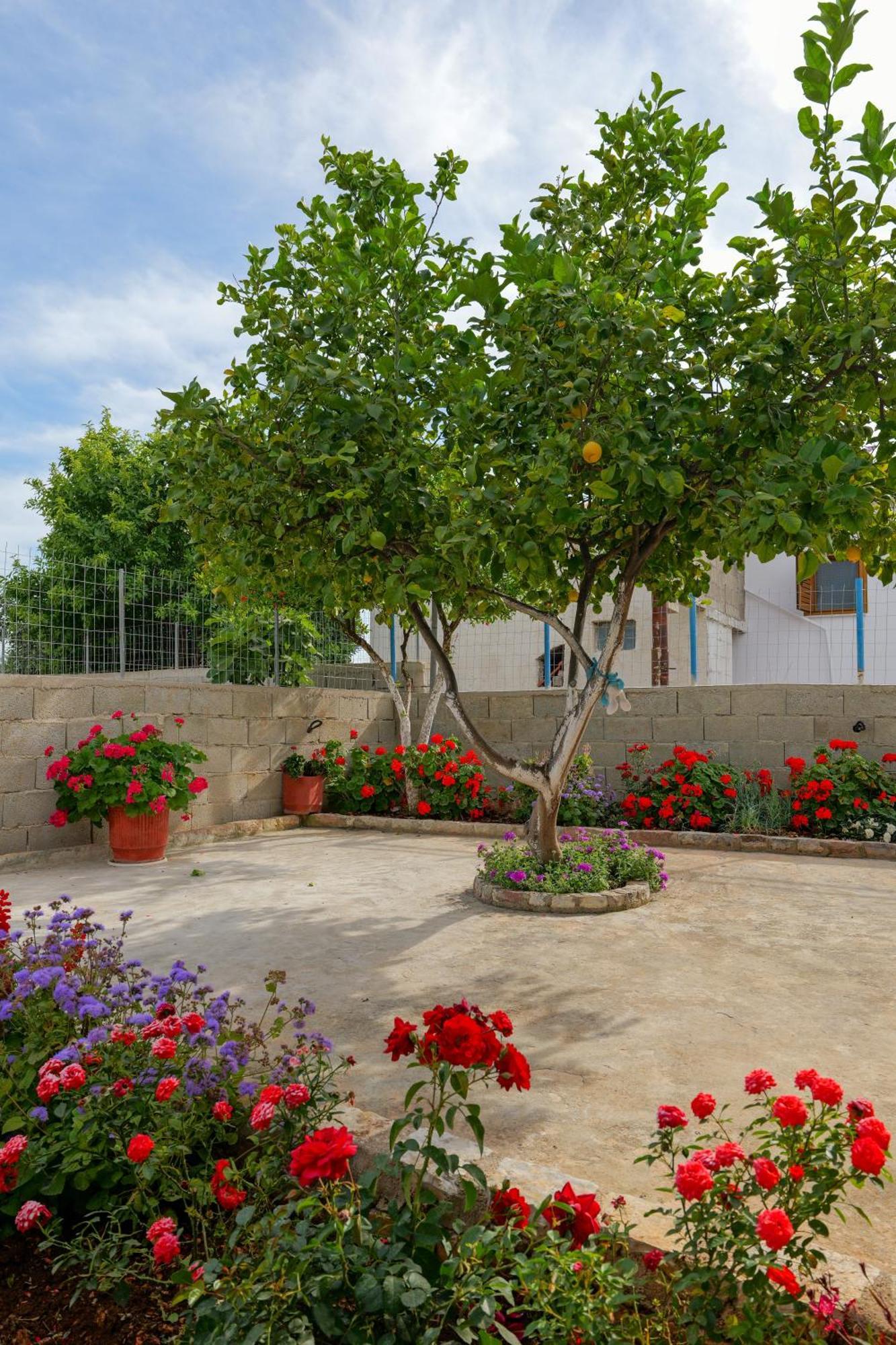 Brahimi Guest House كساميل المظهر الخارجي الصورة