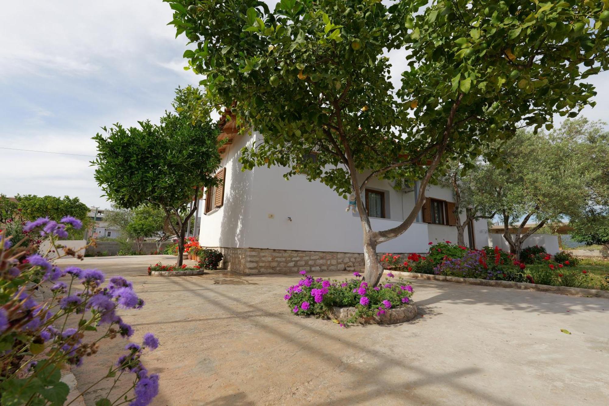 Brahimi Guest House كساميل المظهر الخارجي الصورة