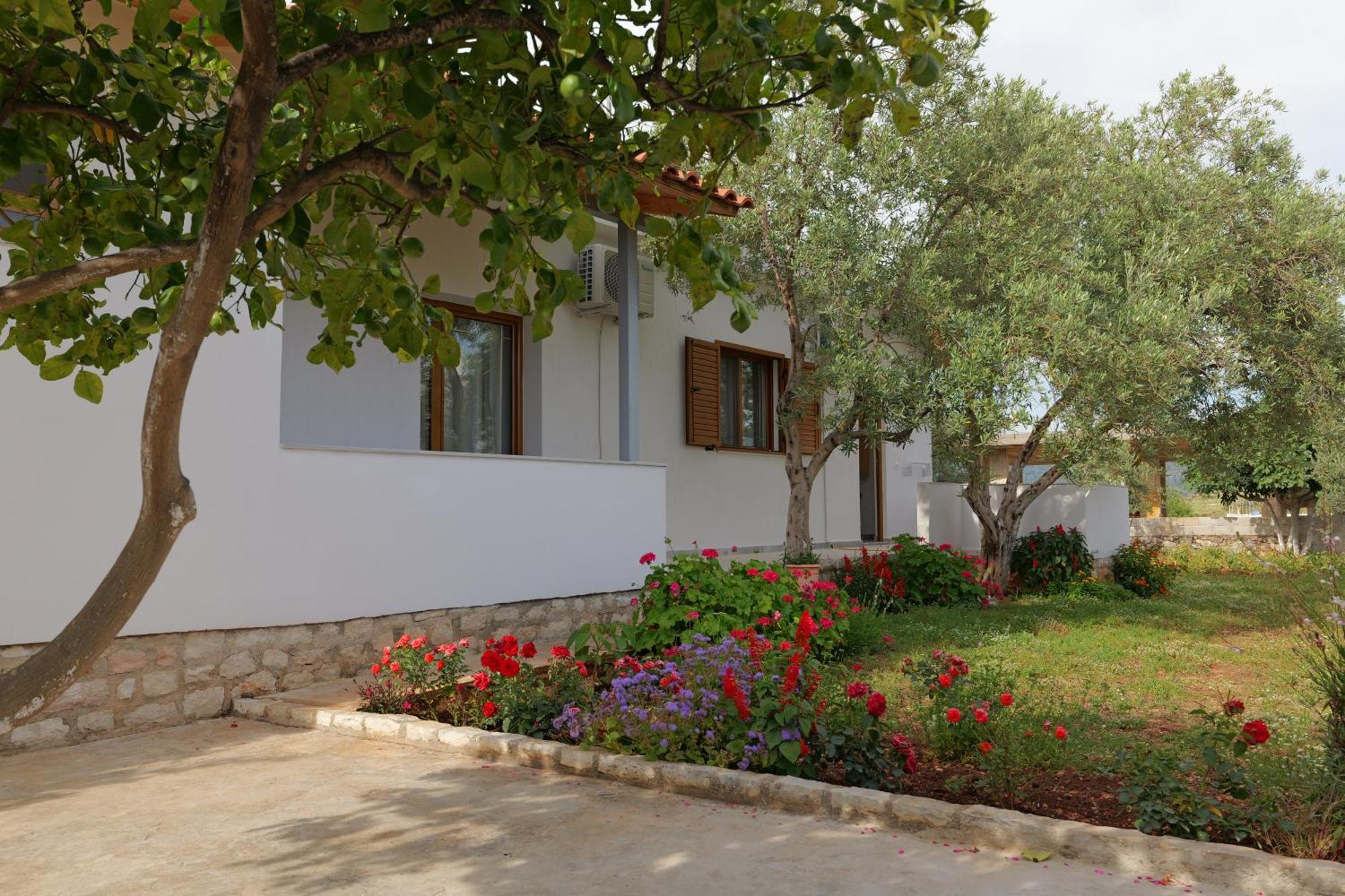 Brahimi Guest House كساميل المظهر الخارجي الصورة